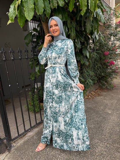 Nadyne Toile Print Shirt Dress (W26)